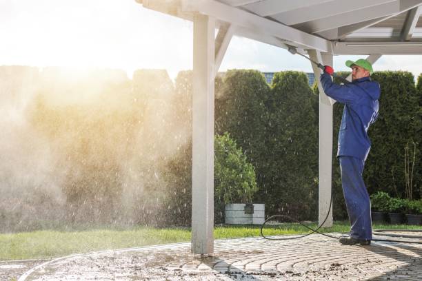 Best Solar Panel Cleaning  in Altavista, VA